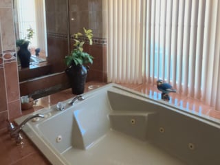 Lujosa Residencia en Venta - Zona 16, Ciudad de Guatemala - Image 10