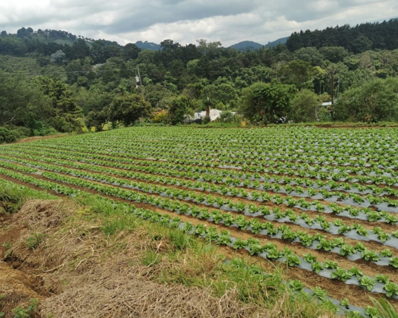 Venta de Terreno Rustico en Sacatepéquez