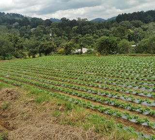 Venta de Terreno Rustico en Sacatepéquez
