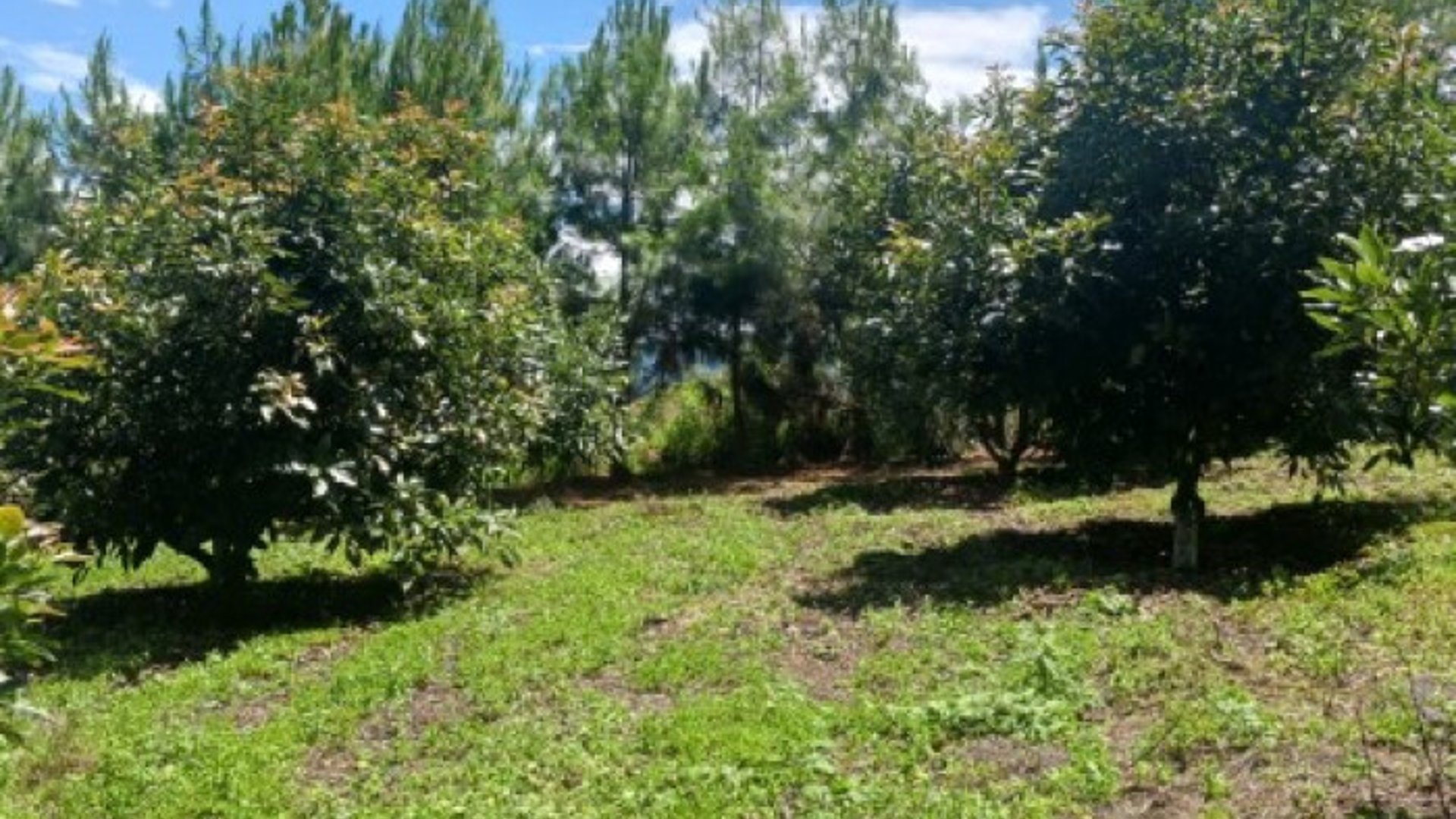Terreno Comercial y Residencial en Venta Santiago Sac. - Miniatura 4