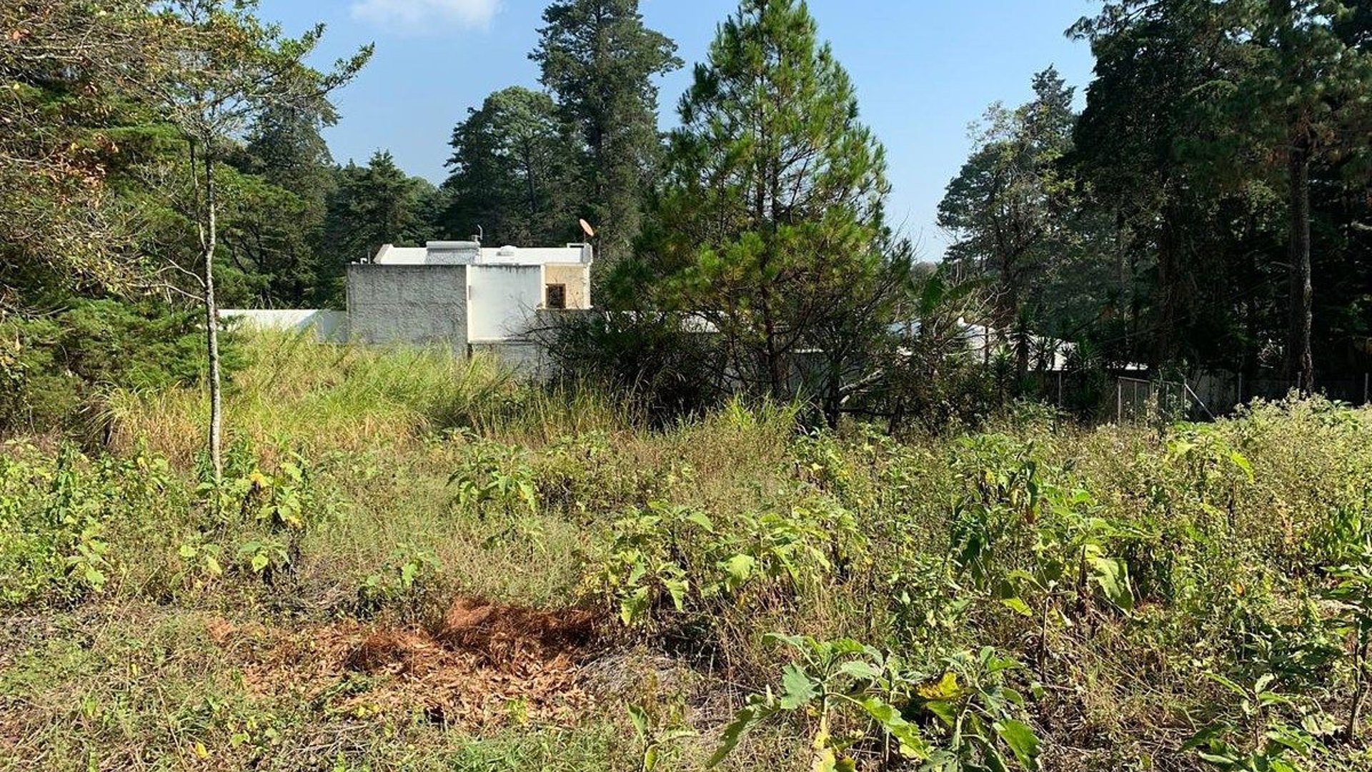 TERRENO EN VENTA EN E ENCINAL ZONA 7 DE MIXCO - Miniatura 6