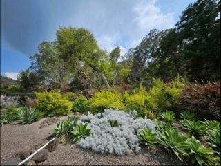Casa Amueblada en Alquiler Cerro de Oro Atitlan - Image 19