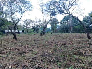 TERRENO EN VENTA EN FRAIJANES - 5
