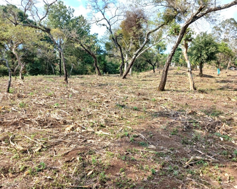 TERRENO EN VENTA EN FRAIJANES