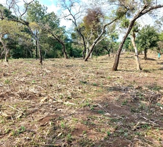 TERRENO EN VENTA EN FRAIJANES