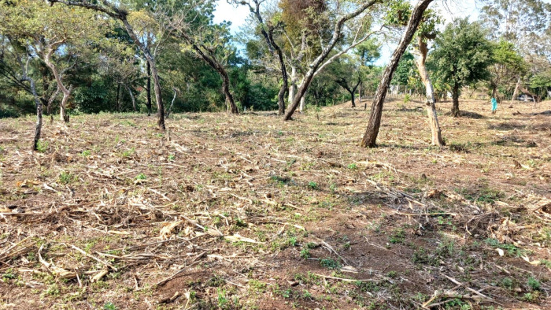 TERRENO EN VENTA EN FRAIJANES