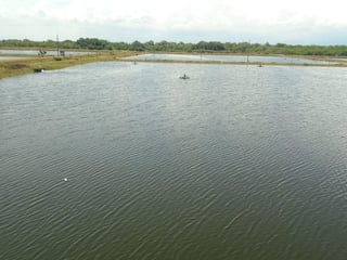 Camaronera en venta en Puerto Iztapa, Escuintla  - 4