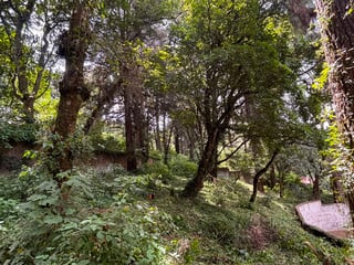 Lote en Venta, Granjas Jardín El Alto, Santiago Sac.  NUEVO PRECIO - 4