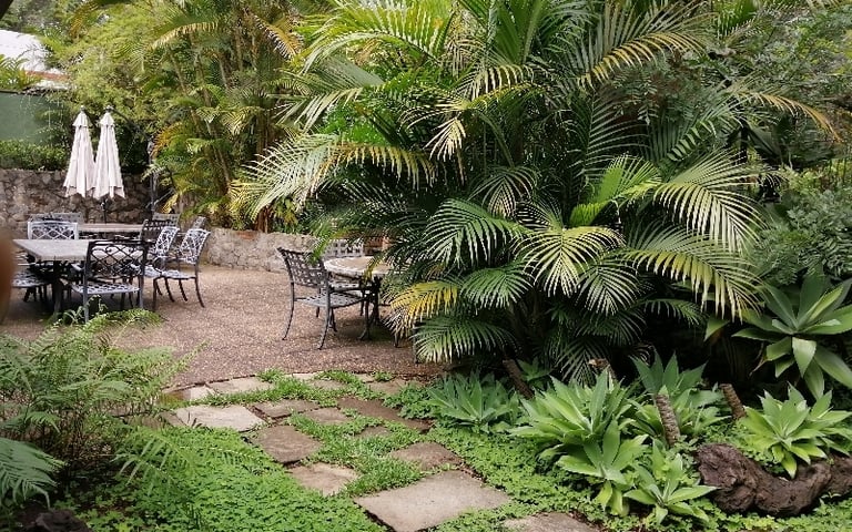 Casa fuera de condominio en Venta, Zona 16 (V6560) - Miniatura 3