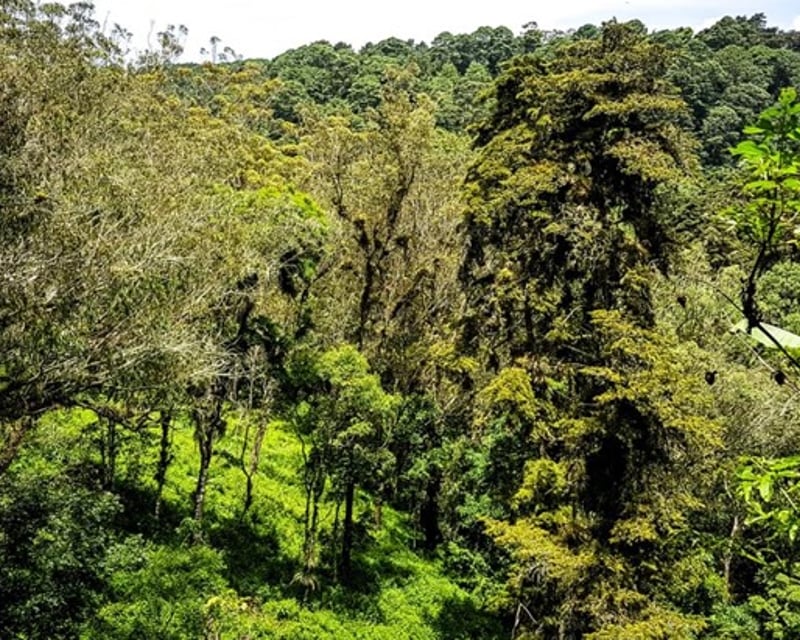 Terreno en venta, en Carretera al salvador