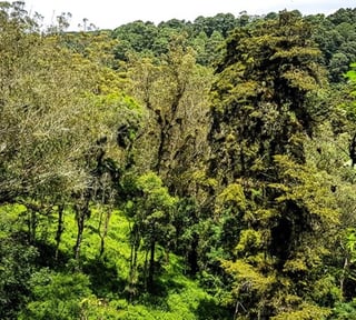Terreno en venta, en Carretera al salvador