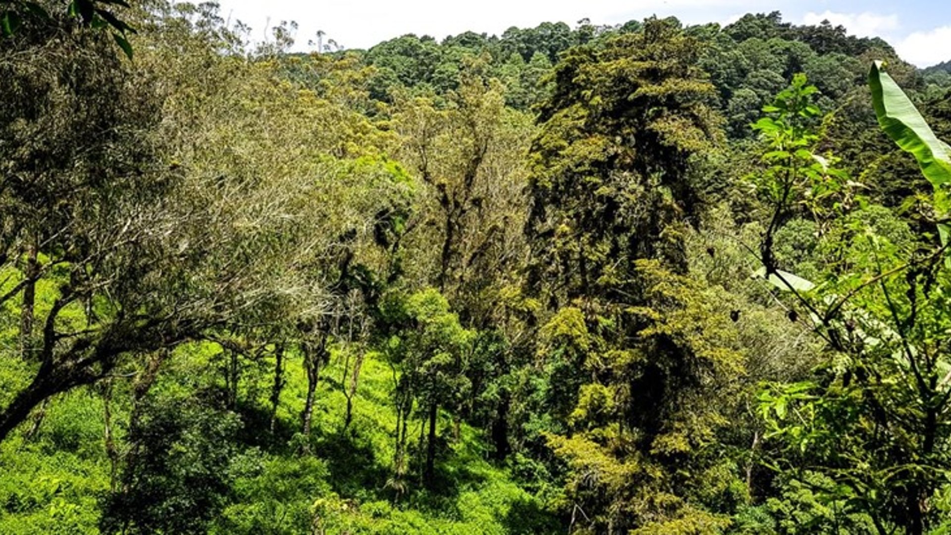 Terreno en venta, en Carretera al salvador