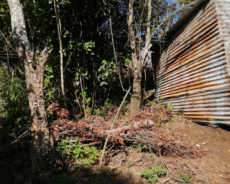 Terreno en Venta en Carretera a las Brisas Finca el Masuey