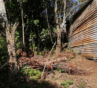 Terreno en Venta en Carretera a las Brisas Finca el Masuey