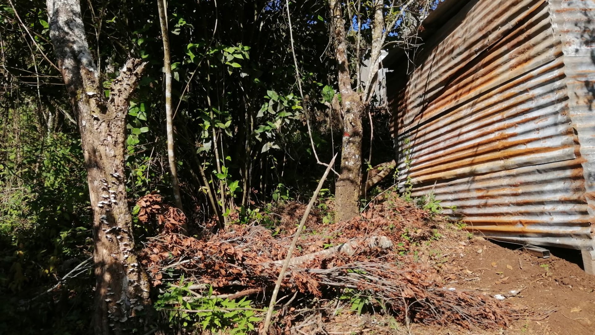 Terreno en Venta en Carretera a las Brisas Finca el Masuey