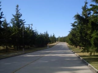 Terreno residencial en venta km. 23 Carr. al Salvador - 5