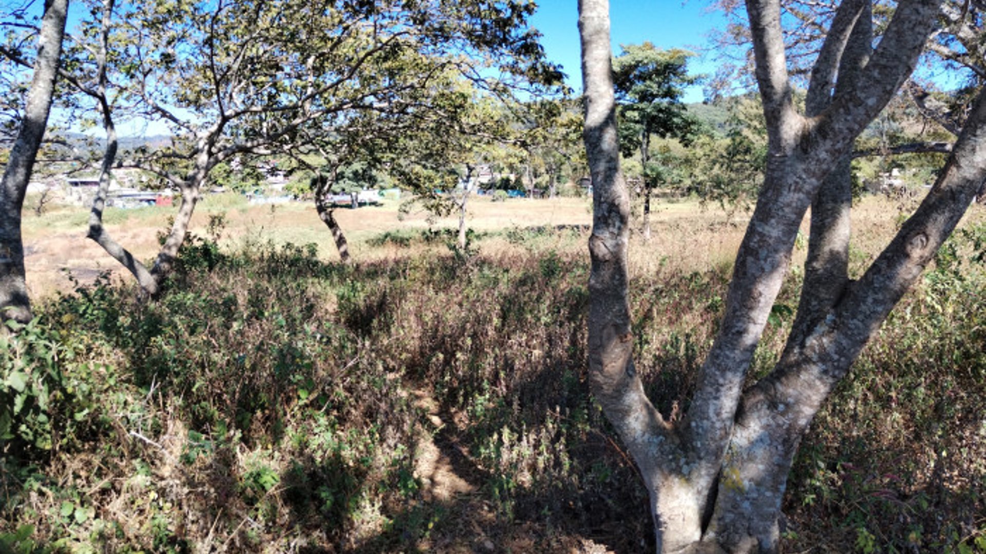 Terreno comercial sobre Carretera Cuilapa Santa Rosa - Miniatura 4
