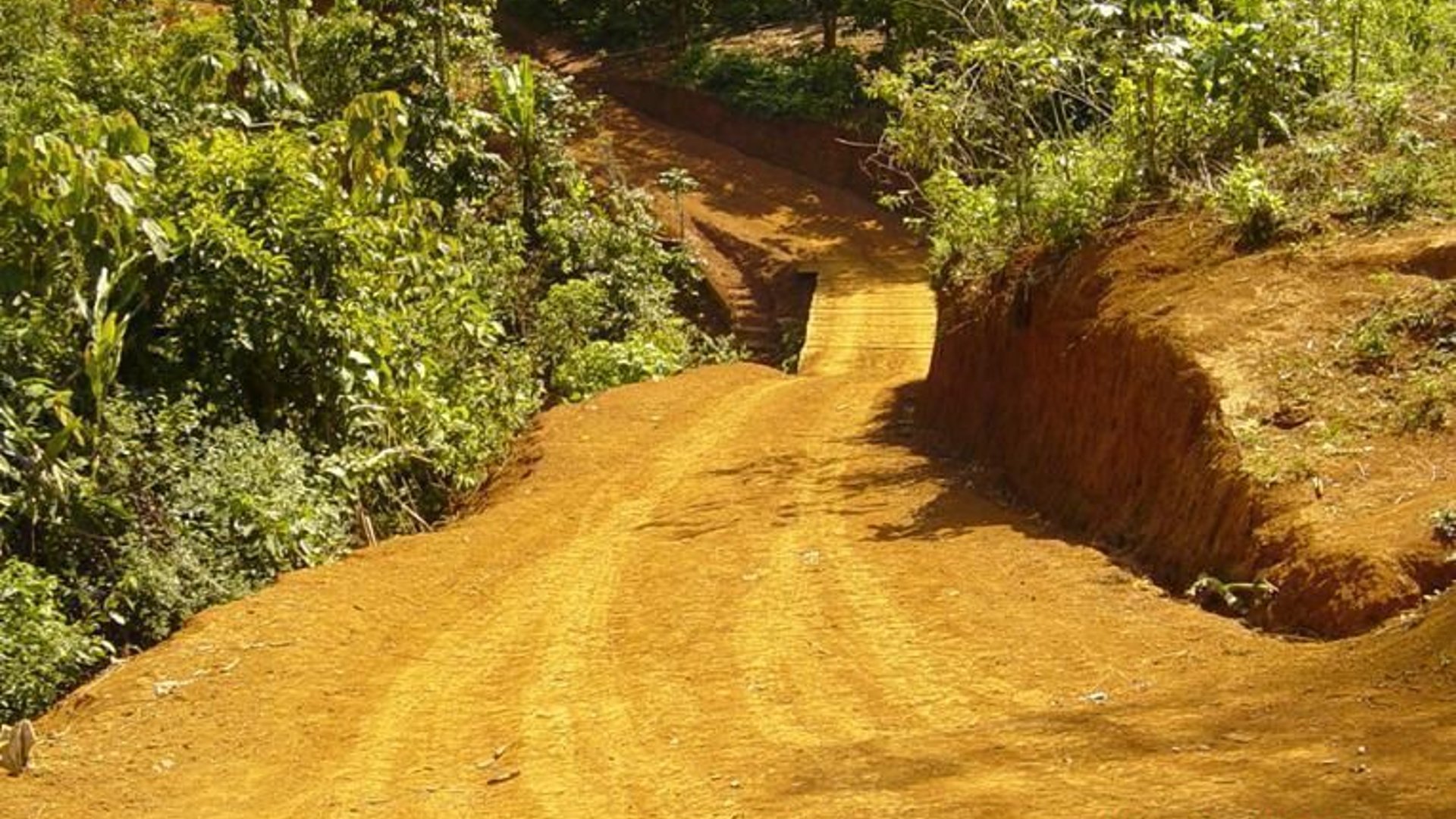 Vendo finca minera de 30 caballerias en Izabal