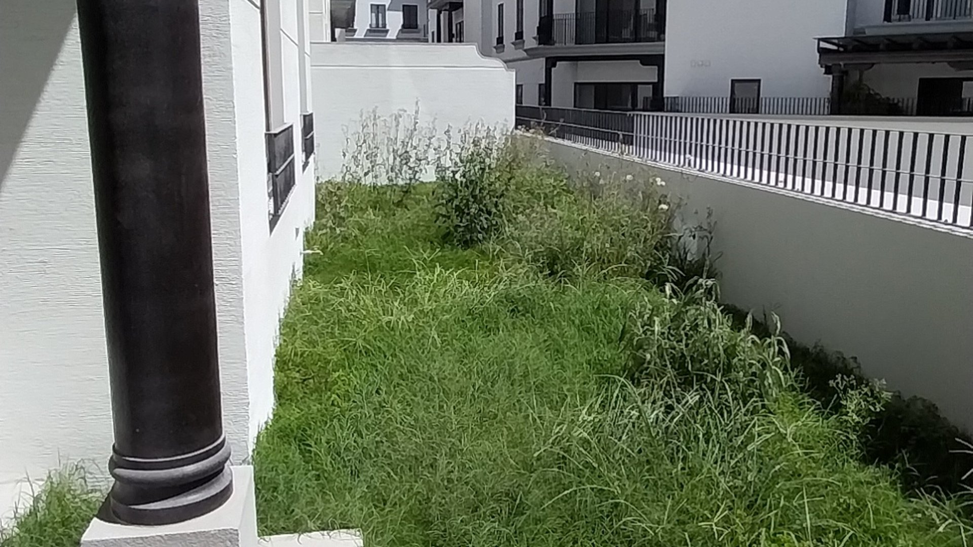 Lujoso Apartamento en Renta con jardín privado en Nogales Cayalá - Miniatura 5