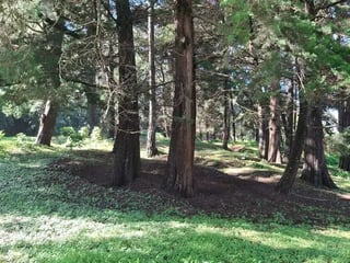 TERRENO EN VENTA – SANTA CATARINA PINULA - 3