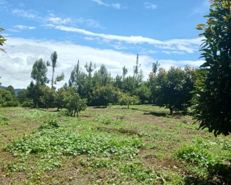 Terreno Comercial y Residencial en Venta Santiago Sac.