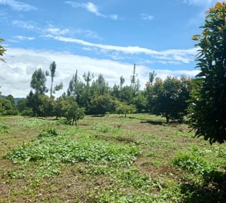 Terreno Comercial y Residencial en Venta Santiago Sac.