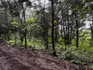 Terreno en Venta en Santa María de Jesús, Sacatepequez - 3
