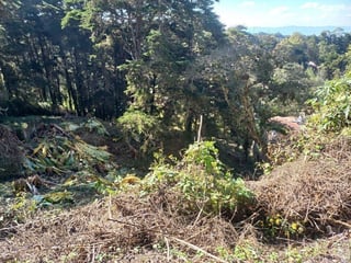 TERRENO EN VENTA EN STA ROSALIA LA LAGUNA - 4
