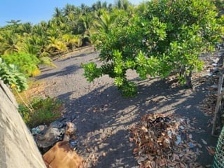 Cesión de Terreno Vacacional en OCRET Puerto San José - 2