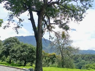 Vendo Terreno en Condominio San Mateo Antigua Guatemala - 3