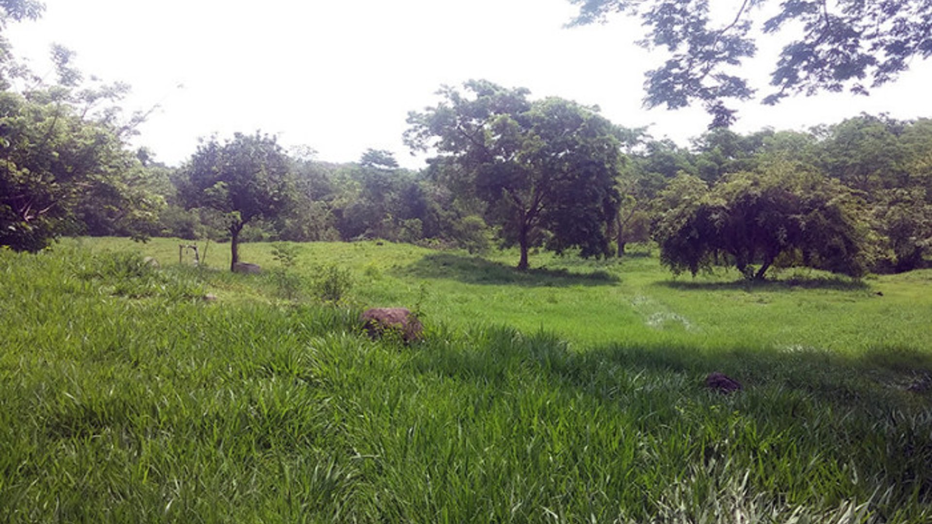 Terreno en Venta en Lagunas de Monterrico