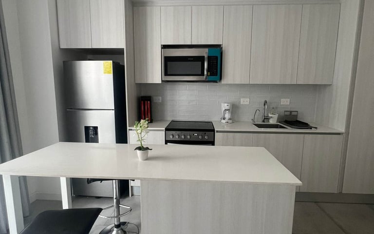 LOFT AMUEBLADO EN RENTA ANTARES DE CAYALA ZONA 16