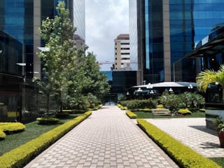 Oficinas en renta EUROPLAZA  zona 14 - 2