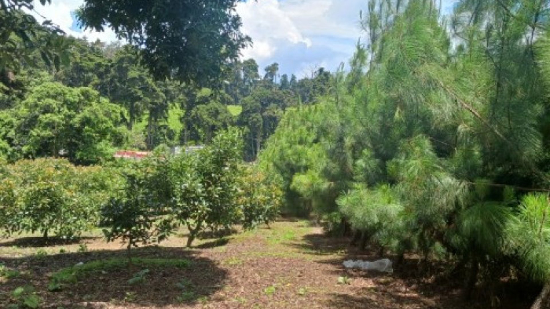 Terreno Comercial y Residencial en Venta Santiago Sac. - Miniatura 5