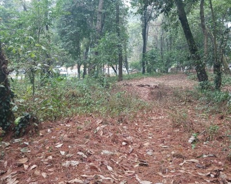 Terreno Comercial en Renta en Carretera Interamericana