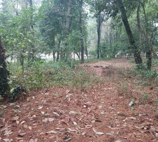Terreno Comercial en Renta en Carretera Interamericana