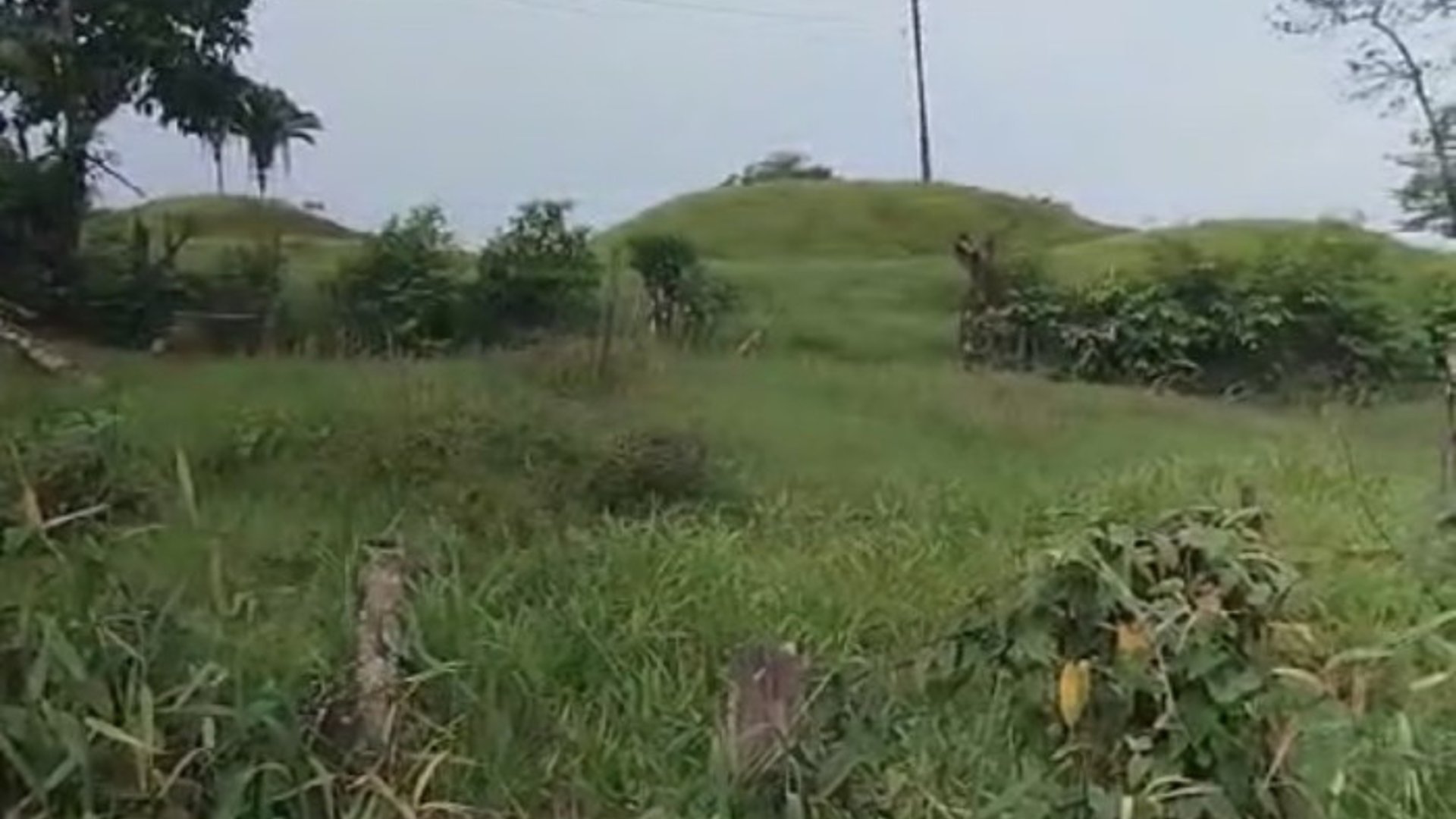 Finca en Puerto Barrios Izabal - Miniatura 4