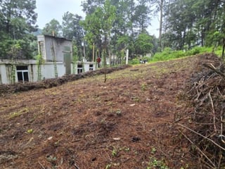 Terreno en Venta Hacienda Manzanales Santa María Cauque - 5