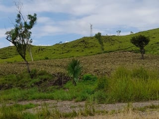 Vendo Terreno para Siembra  en Carretera a El Salvador - Image 7