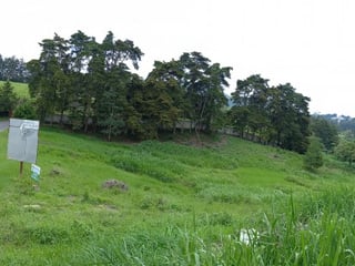 Terreno Residencial en Condado Javier km 16.5 CAES - Image 9