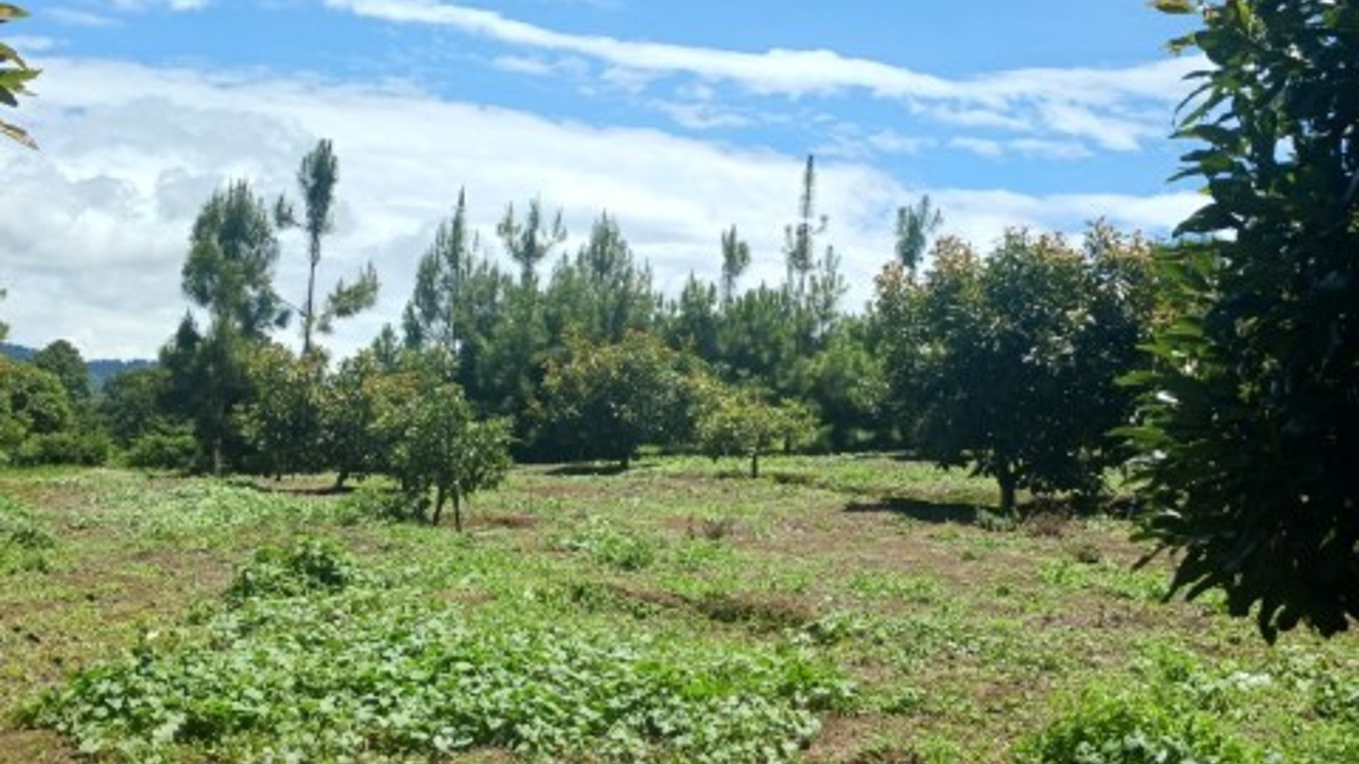 Terreno Comercial y Residencial en Venta Santiago Sac.