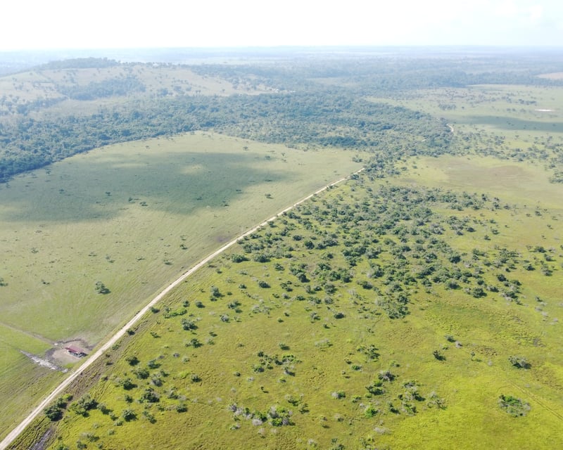 Finca de 4,876 manzanas en Venta en Petén
