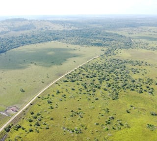 Finca de 4,876 manzanas en Venta en Petén
