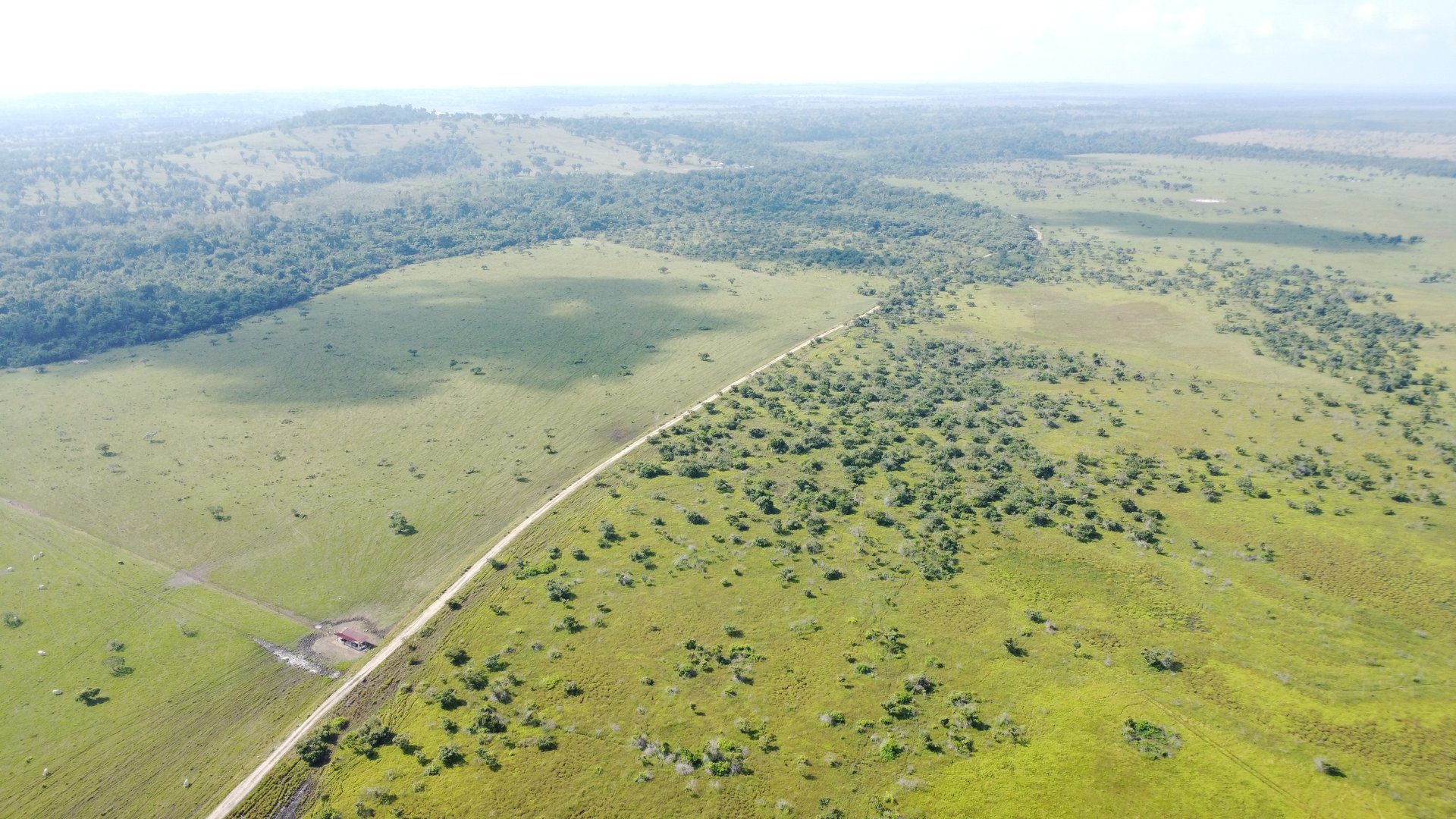Finca de 4,876 manzanas en Venta en Petén