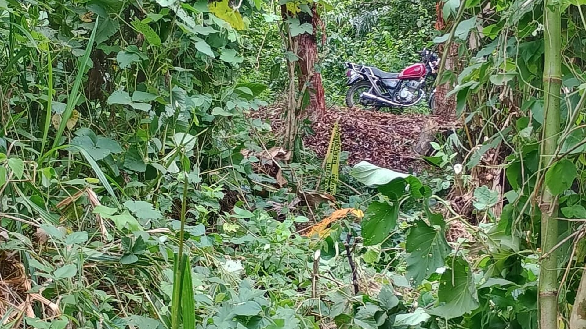 Terreno en Venta en Pichilingo, Pto Barrios, Izabal - Miniatura 9