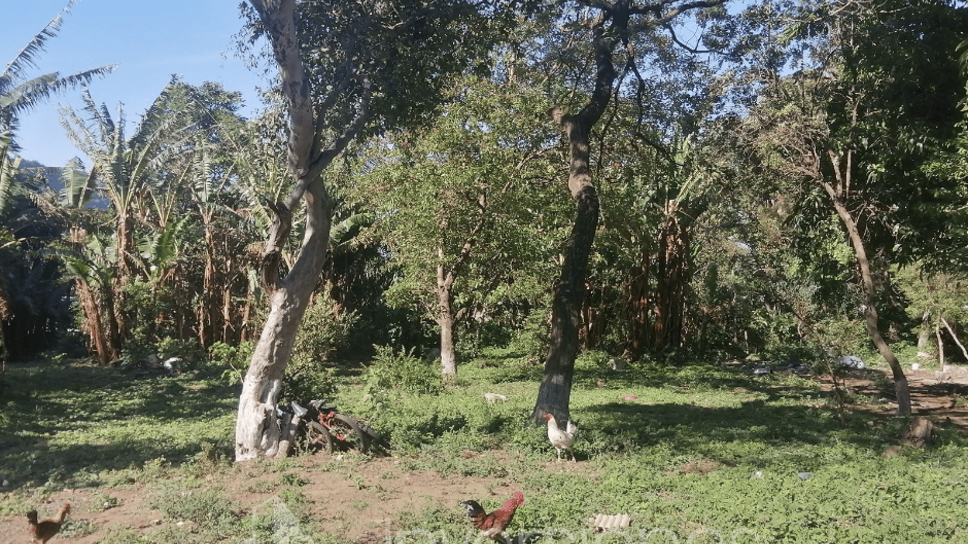 Terreno en Renta o Venta, Palin Escuintla - Miniatura 5