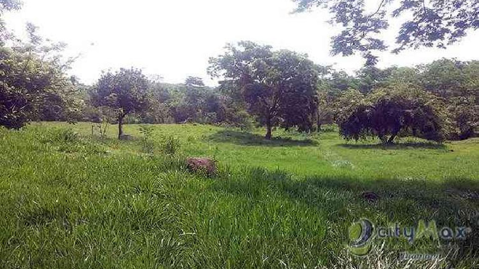 Terreno en Venta en Km 117 Carretera a Taxisco