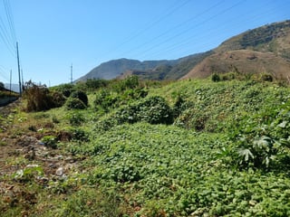 Terreno en Venta en Amatitlán - 4