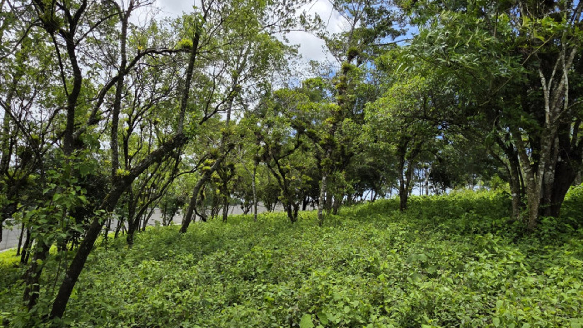 Terreno Venta Altos San Vicente Sta. Catarina Pinula - Miniatura 17