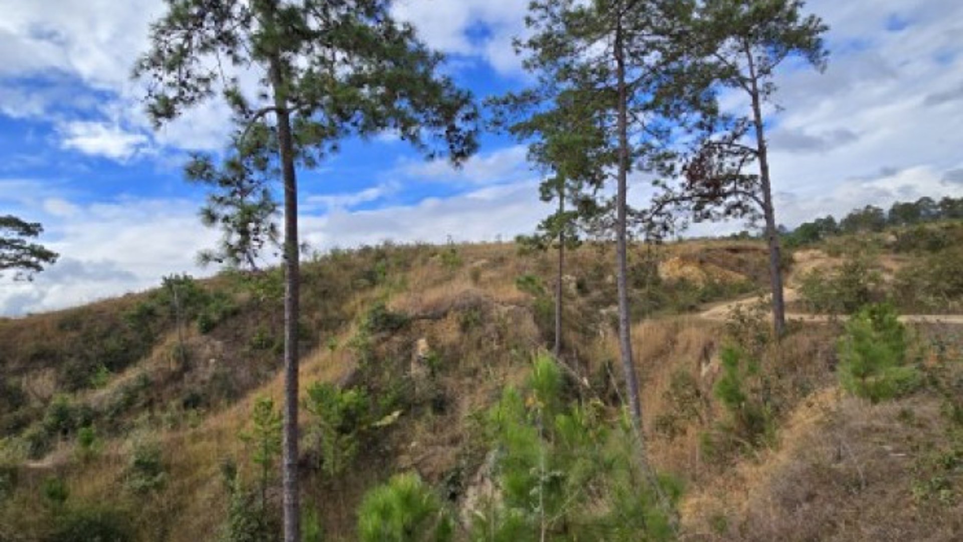 Terreno en Venta San Pedro Sacatepéquez, Guatemala - Miniatura 3